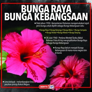 Bunga Raya Fizz Bunga Raya : Fakta & Sejarah Bunga Kebangsaan Malaysia