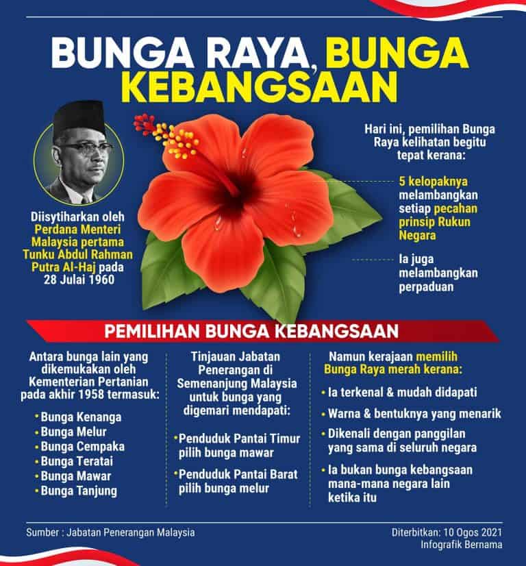 Bunga Raya : Fakta & Sejarah Bunga Kebangsaan Malaysia