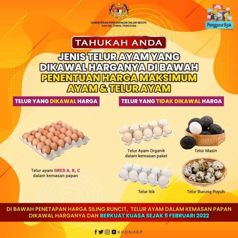 Harga Telur Terkini (2024) - Gred A, B & C Turun 3 Sen!