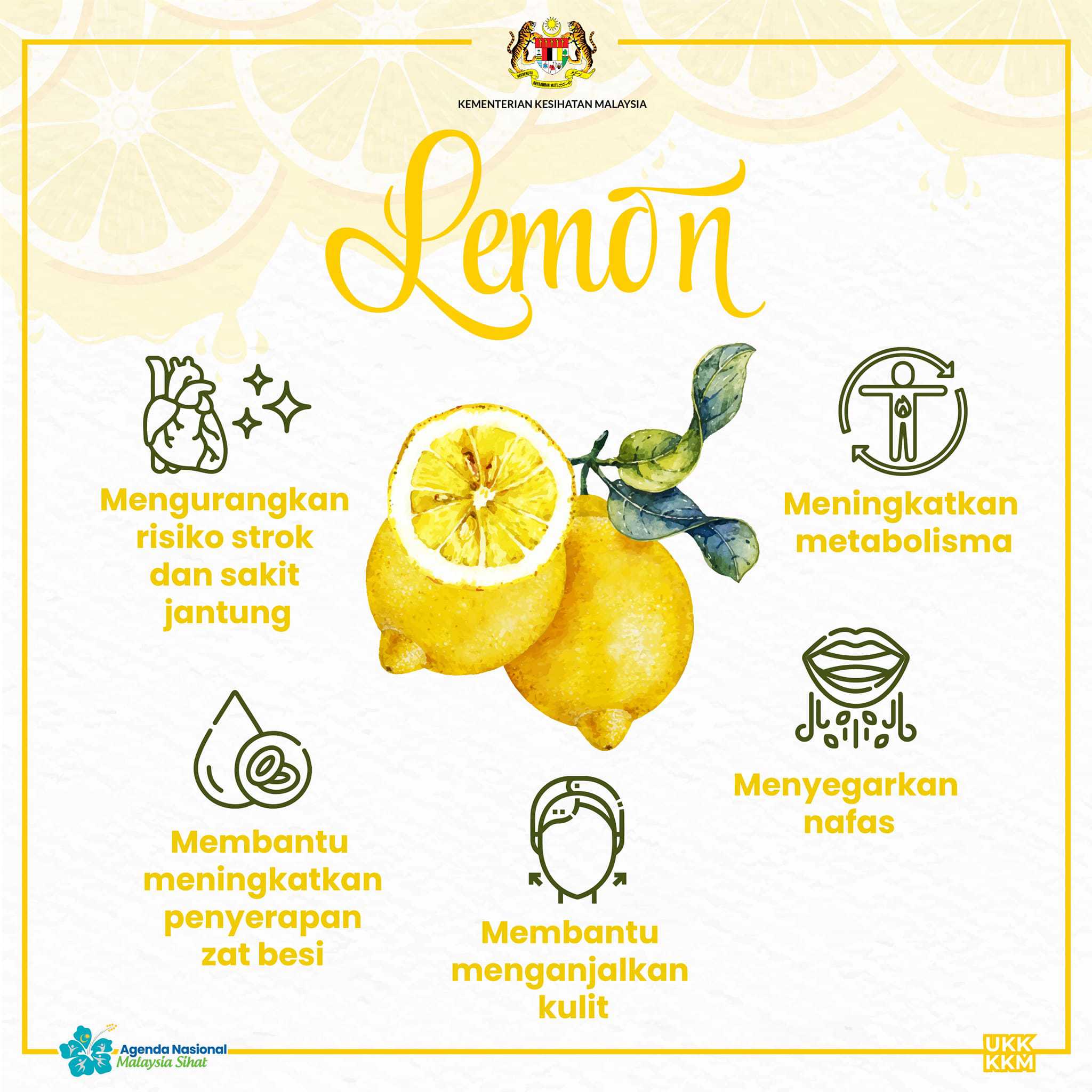 Khasiat Lemon Untuk Kesihatan dan Kecantikan Diri