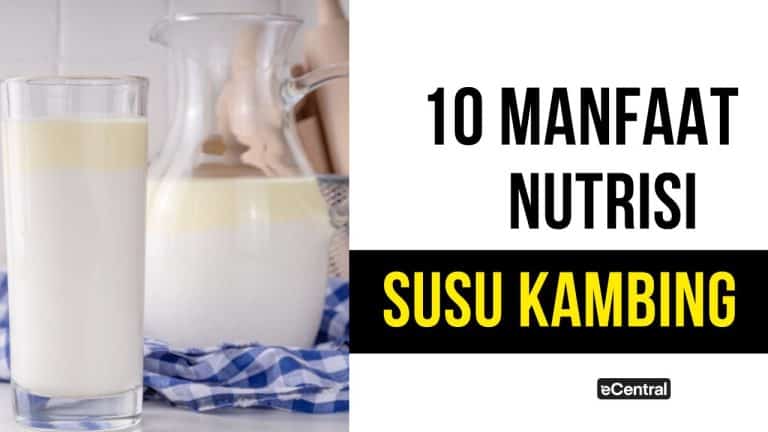 susu kambing