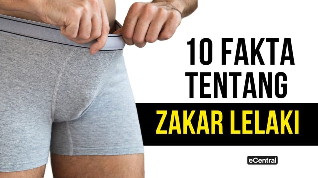 Zakar 10 Fakta Menarik Ramai Kaum Adam Tak Tahu