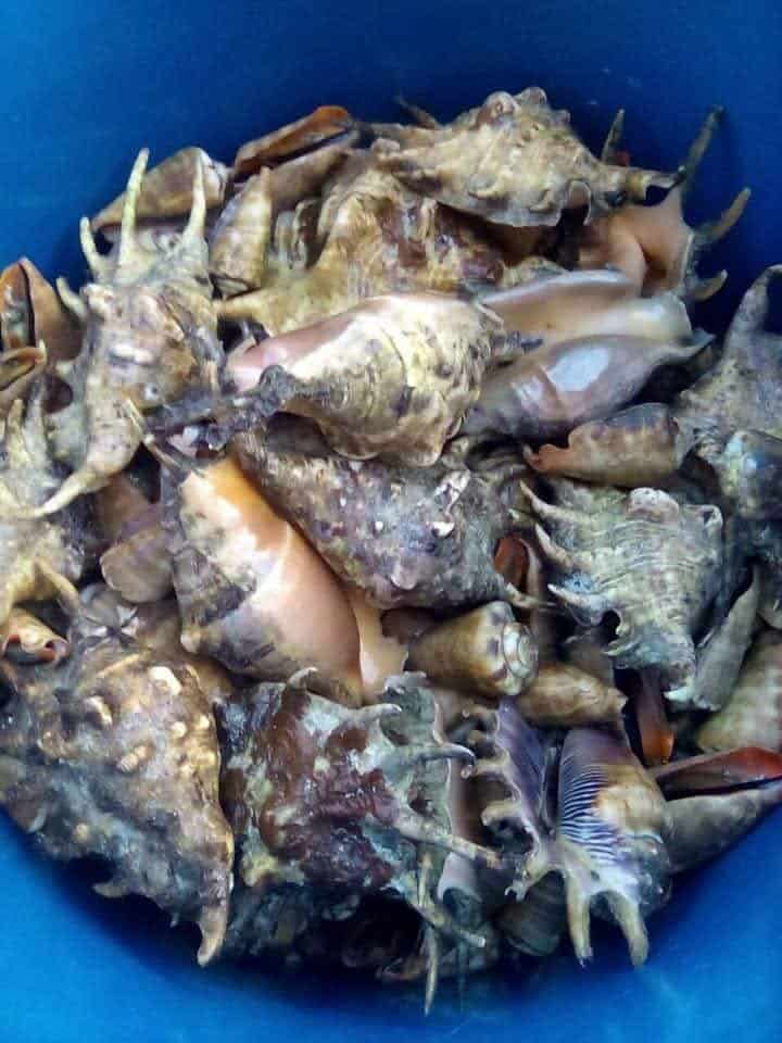makanan sabah kahanga