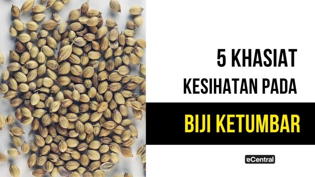 Biji Ketumbar: 5 Khasiat Pada Kesihatan Yang Tak Ramai Tahu!