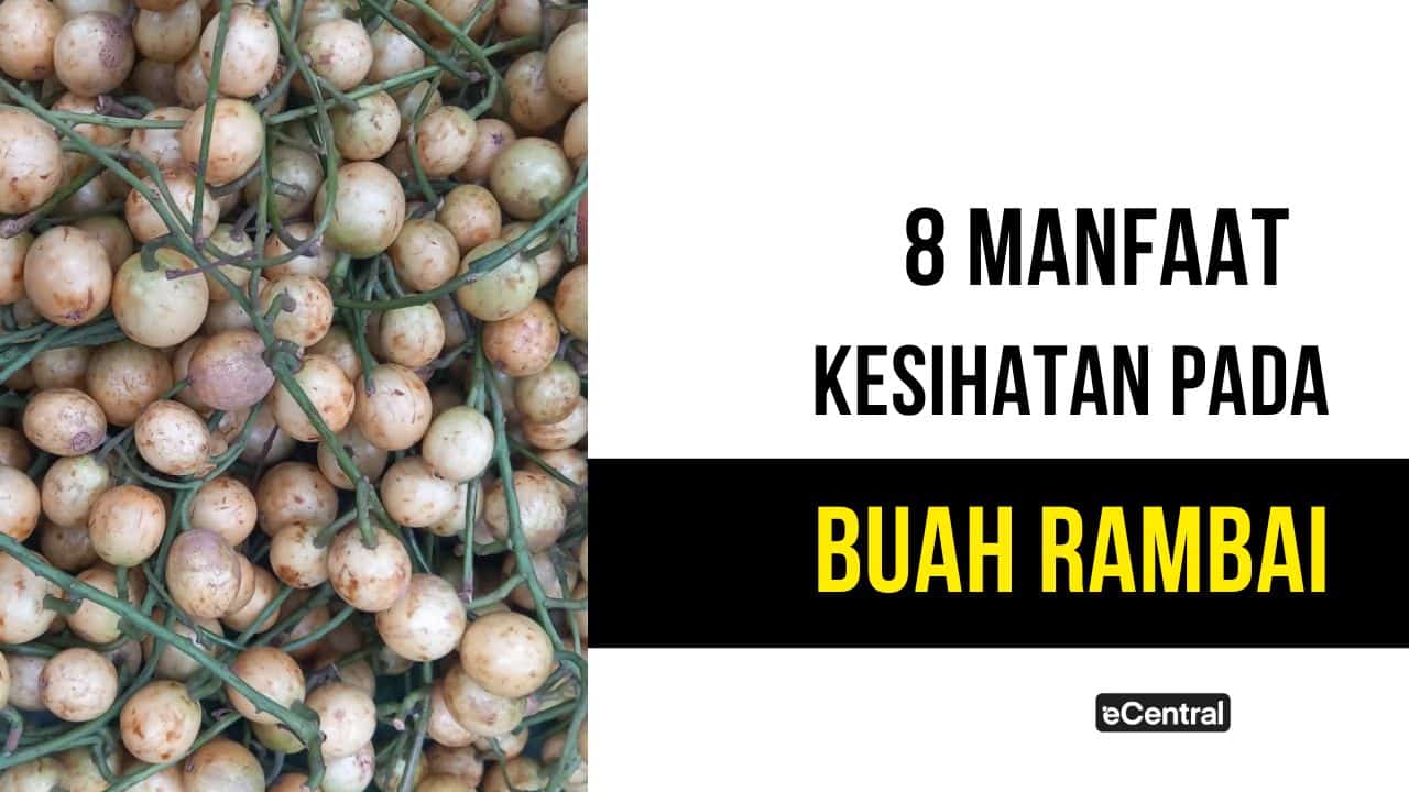 Buah Rambai 