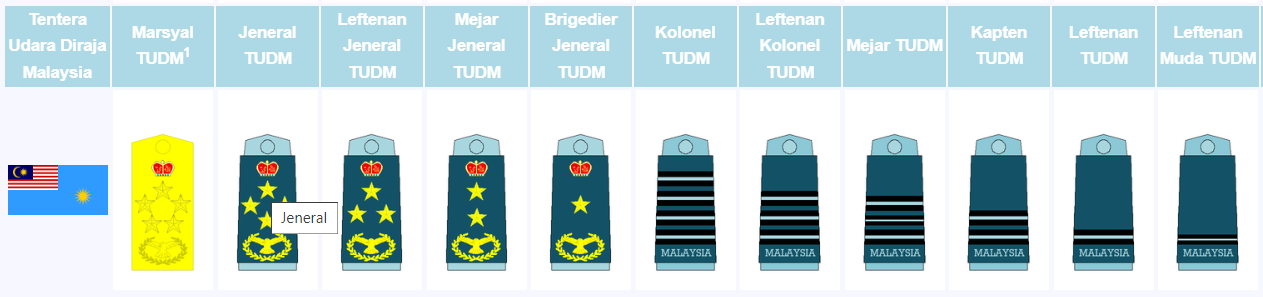 Pangkat Tentera Udara Diraja Malaysia (TUDM) & Lencana