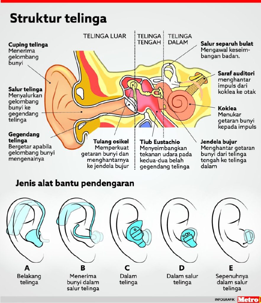 sakit telinga