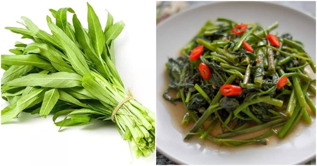 Kangkung : Jenis, Kandungan Nutrisi dan Khasiat Untuk Tubuh