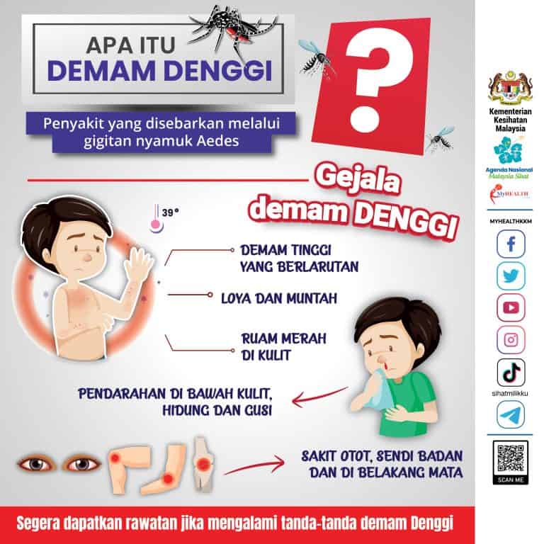 Simptom Denggi Biasa vs Demam Denggi Berdarah