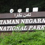 Taman Negara Malaysia: Senarai Aktiviti Menarik & Cara Pergi Ke Taman Negara