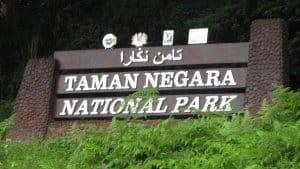 Taman Negara Malaysia: Senarai Aktiviti Menarik & Cara Pergi Ke Taman Negara