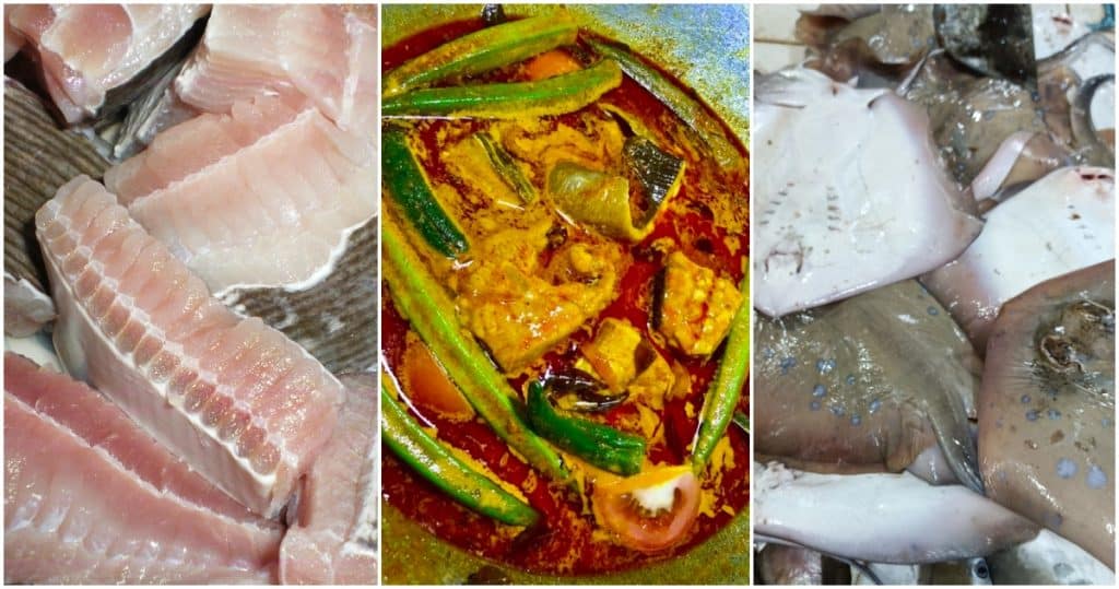 Ikan Pari : Jenis, Tips Pilih Pari Segar & Resepi Wajib Cuba