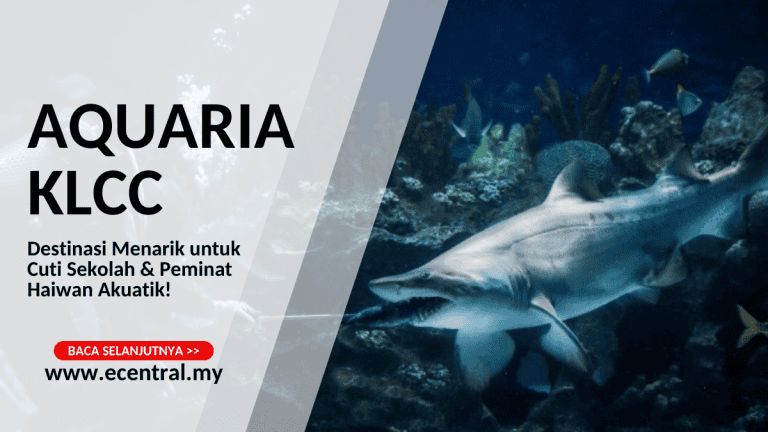 Aquaria KLCC: Destinasi Menarik untuk Cuti Sekolah & Peminat Haiwan Akuatik!