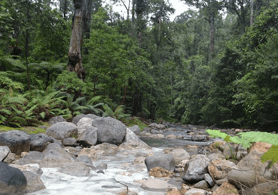 15 + Tempat Menarik Di Sabah yang Ramai Tidak Tahu!