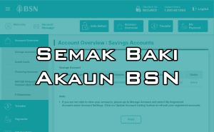 semak baki akaun simpanan bsn