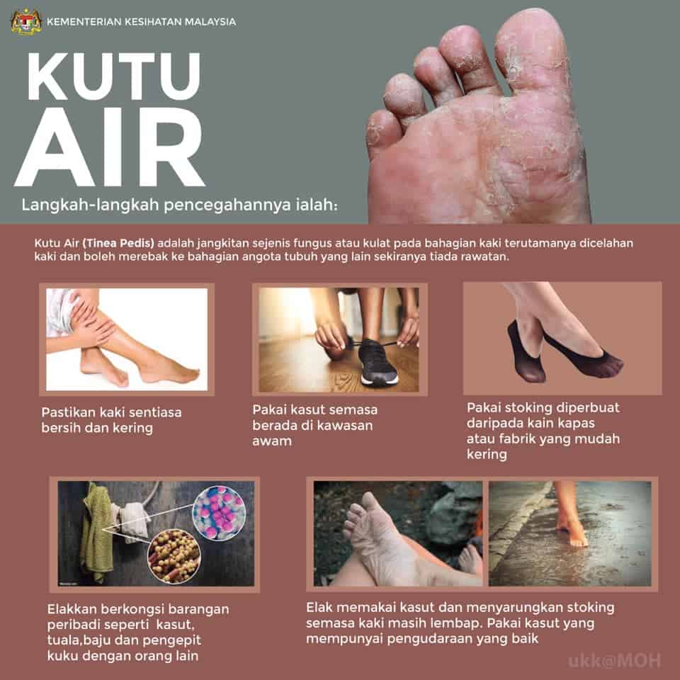 kutu air