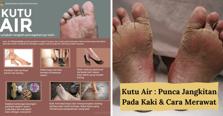 Kutu Air