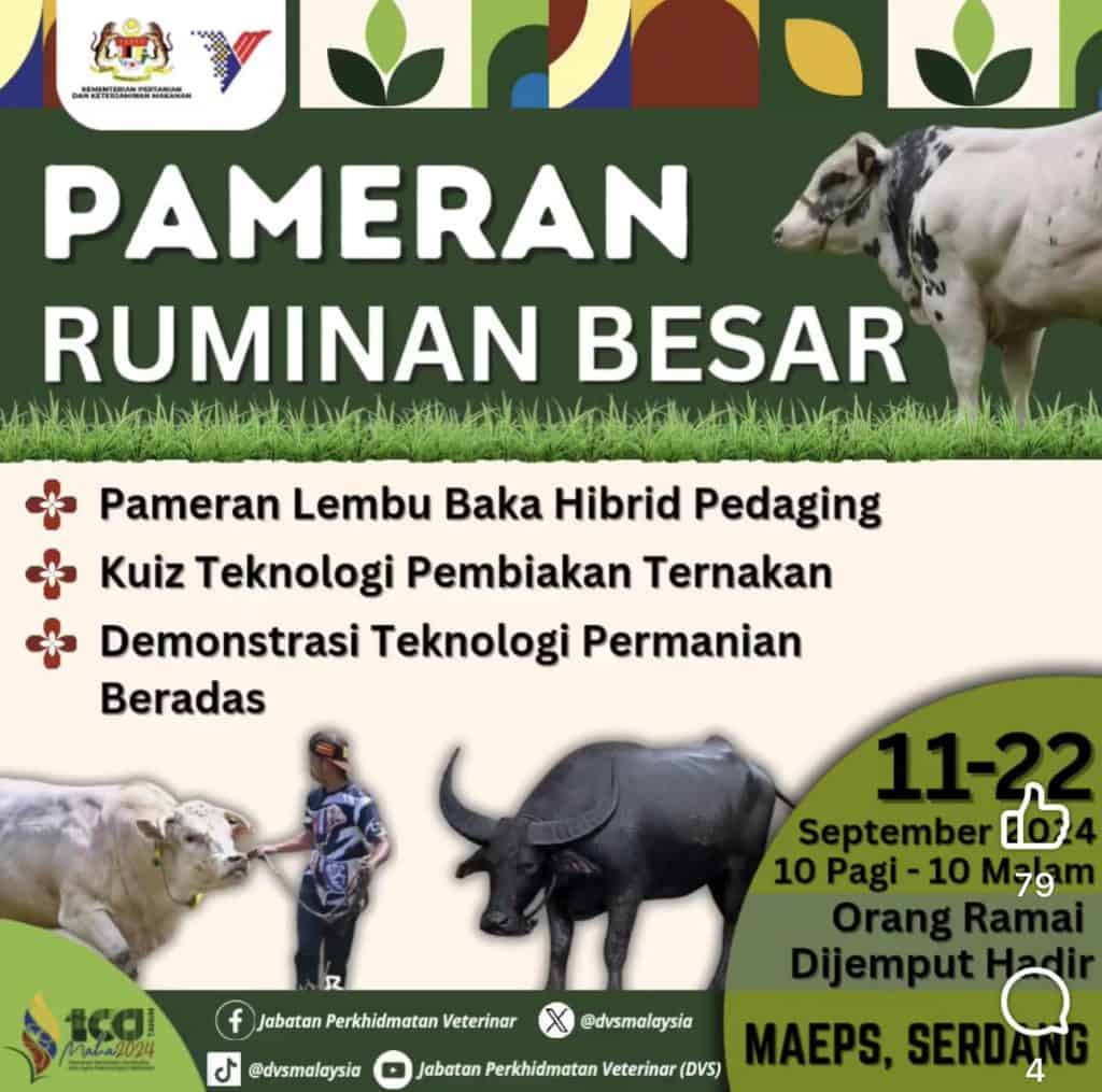 pepameran ruminan maha