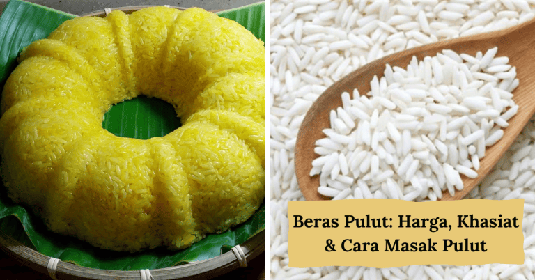 beras pulut