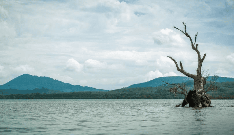 20+ Tempat Menarik Di Phuket, Sesuai Untuk Percutian Bajet!