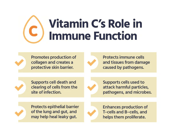 Fungsi Vitamin C & Kesan Pengambilan Berlebihan