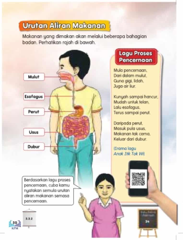 sistem pencernaan manusia