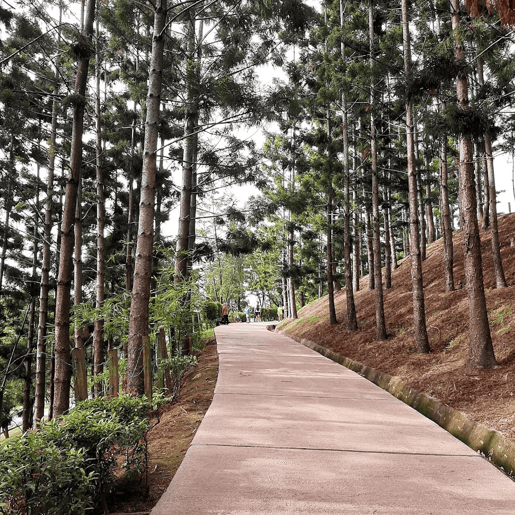 Taman Saujana Hijau - Kemudahan & Aktiviti Boleh Dilakukan