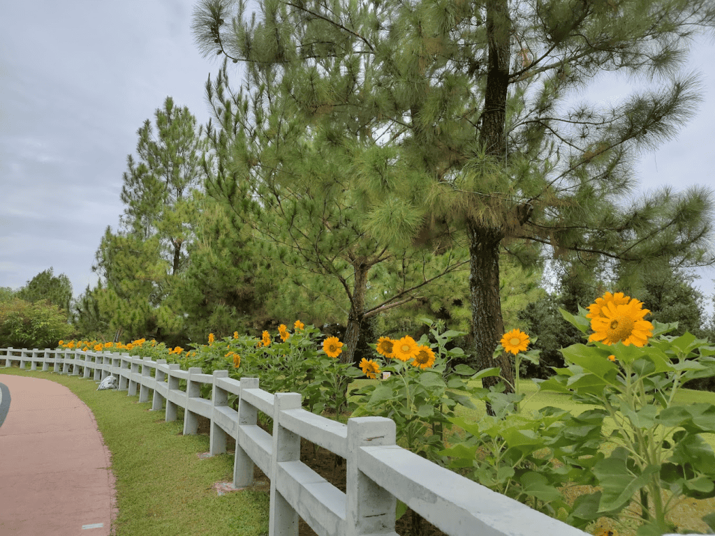 Taman Saujana Hijau - Kemudahan & Aktiviti Boleh Dilakukan