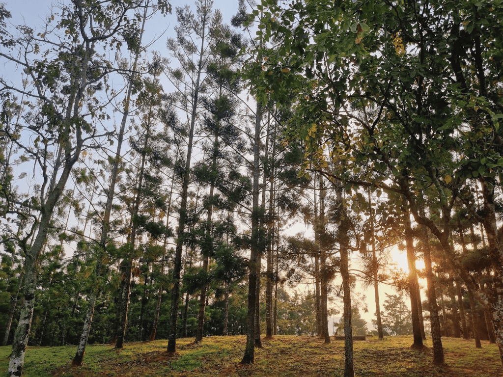 Taman Saujana Hijau - Kemudahan & Aktiviti Boleh Dilakukan