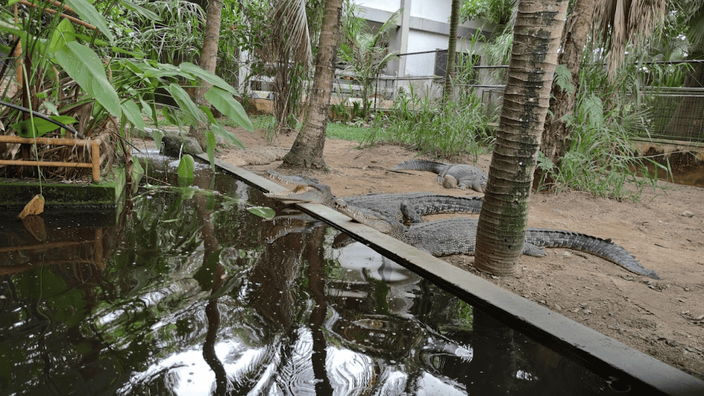 Taman Rama-Rama Melaka: Harga Tiket Masuk & Tarikan Utama