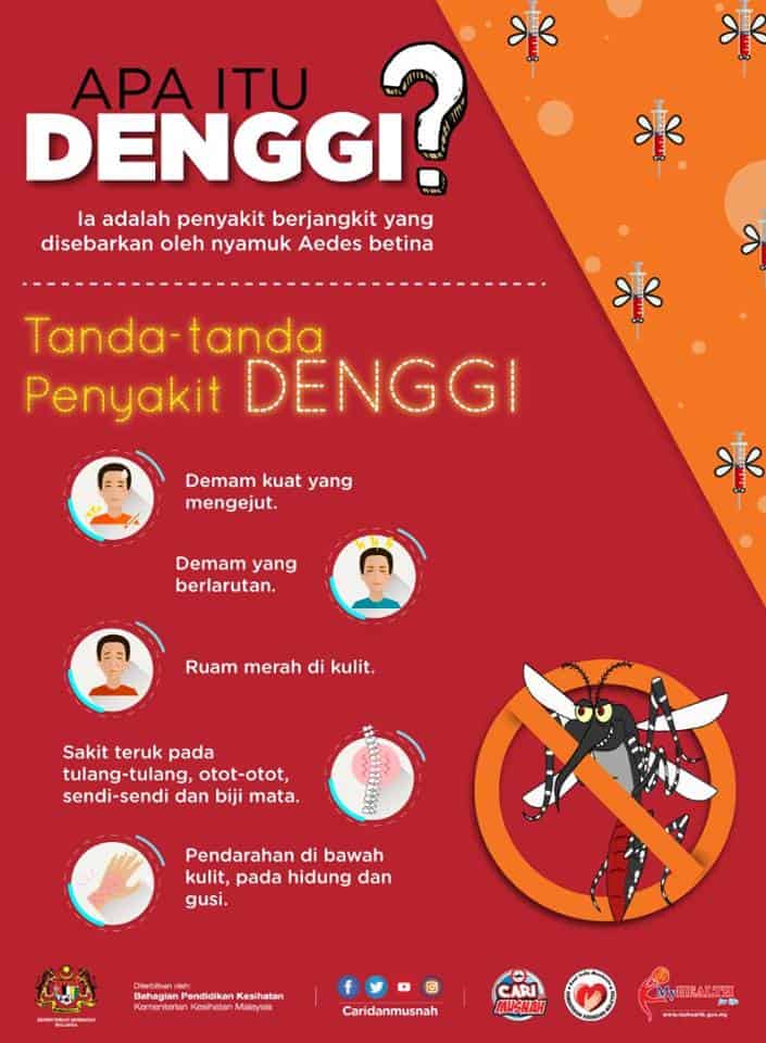 tanda demam denggi 