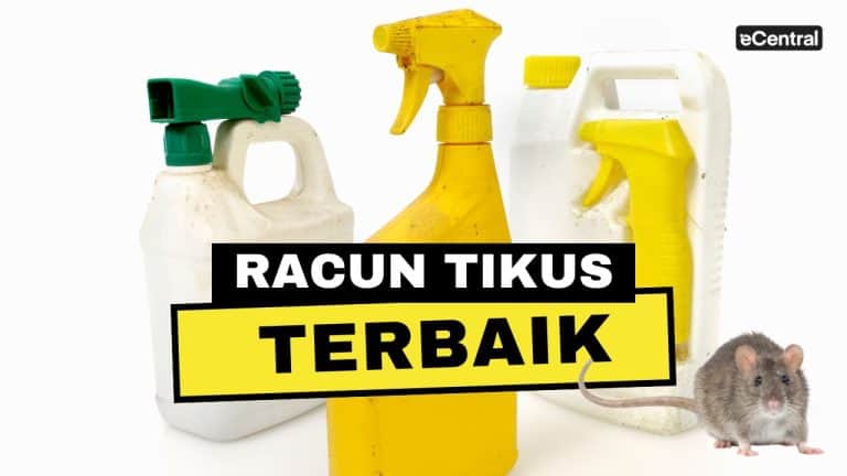 racun tikus terbaik