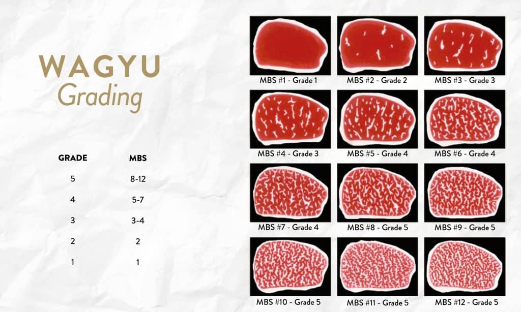 wagyu