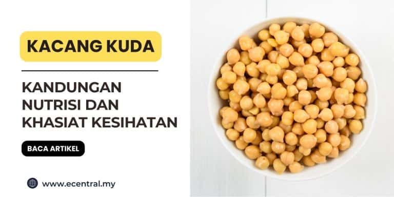 kacang kuda