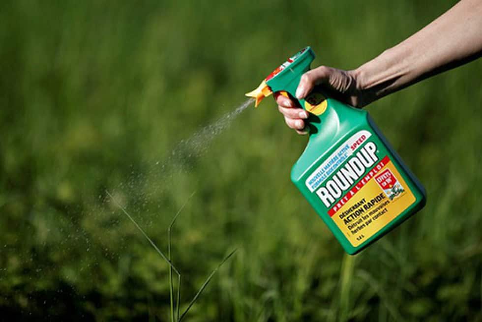 racun rumput glyphosate