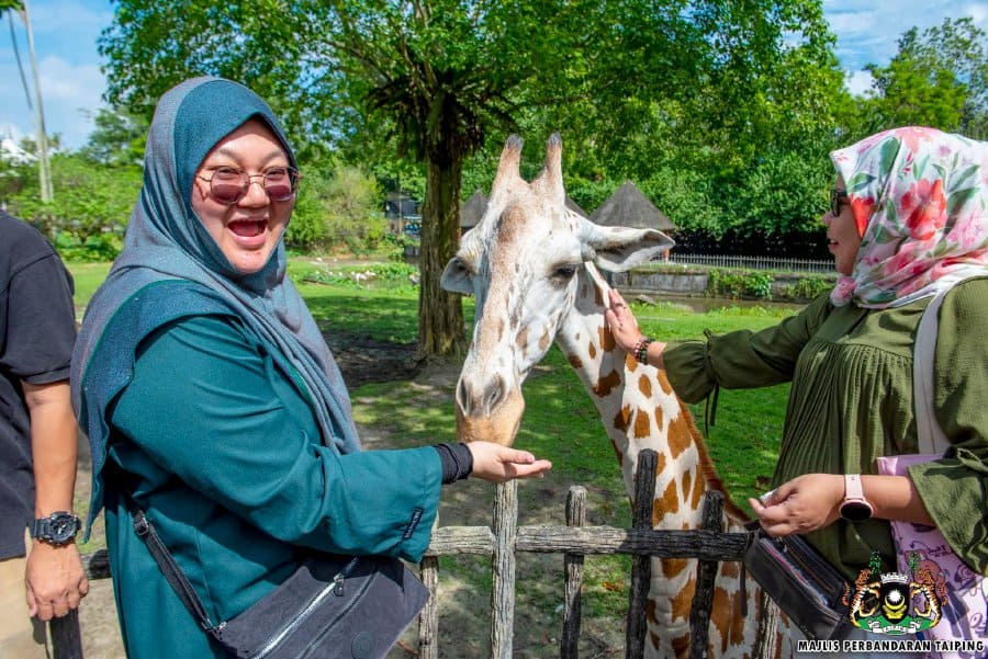 tiket zoo taiping