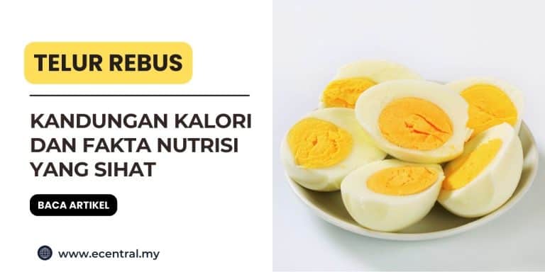 kalori telur rebus