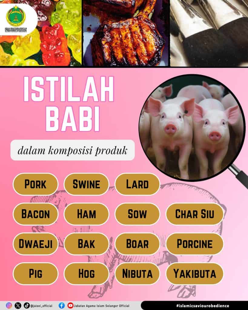 nama lain babi