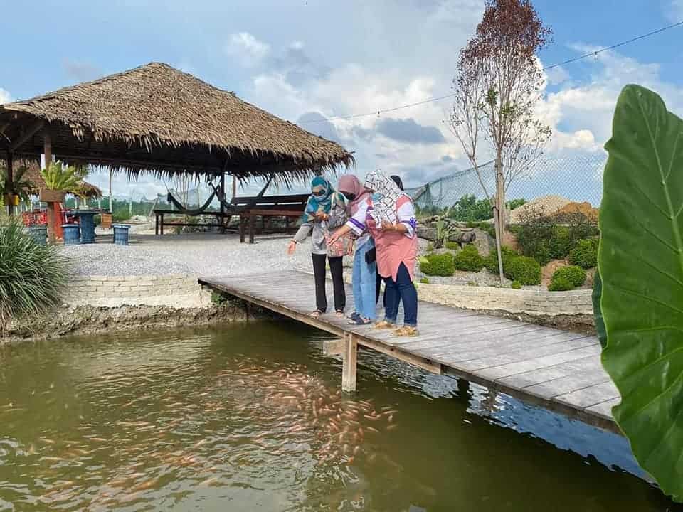 Ladang Bunga Matahari