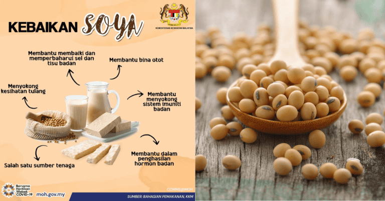 kacang soya