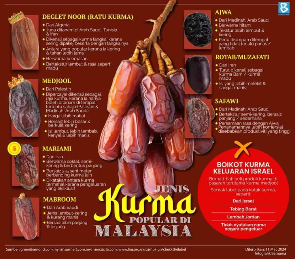 jenis kurma