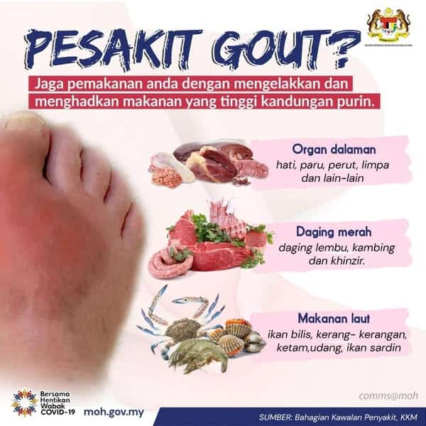 penyakit gout