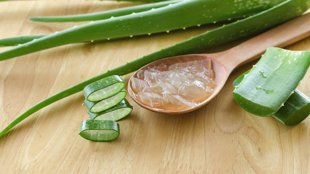 Gel Lidah Buaya