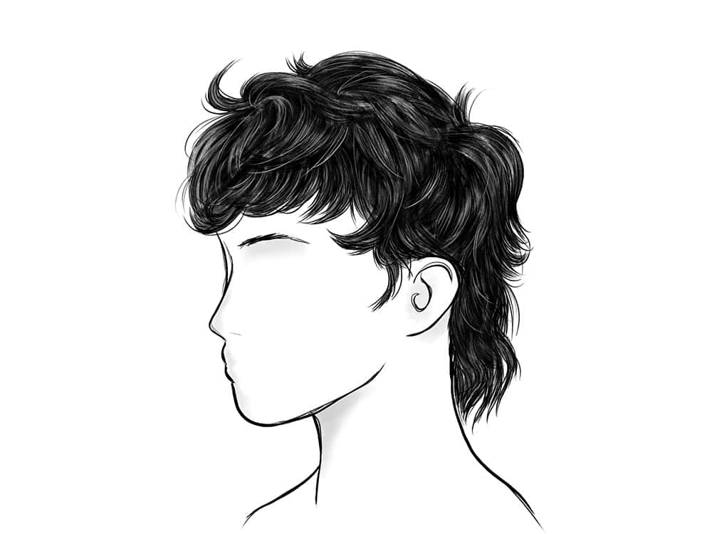 Mullet Shaggy