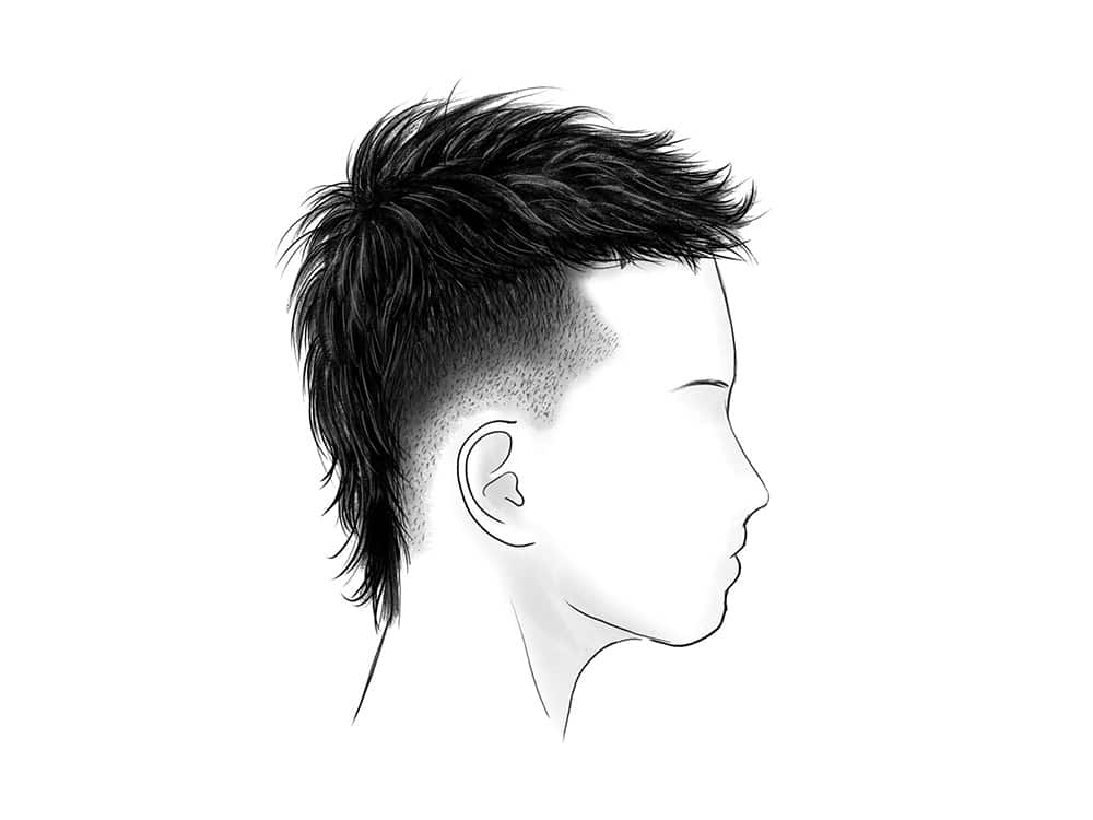 Mullet pendek