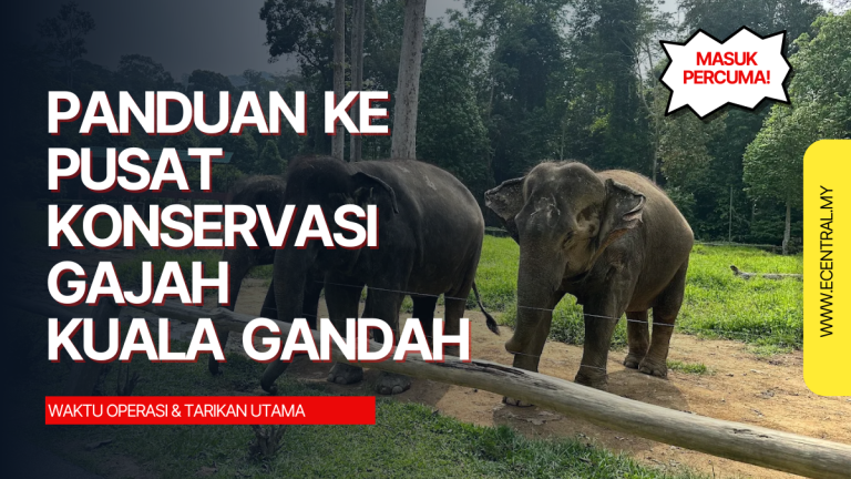 Panduan ke Pusat Konservasi Gajah Kuala Gandah