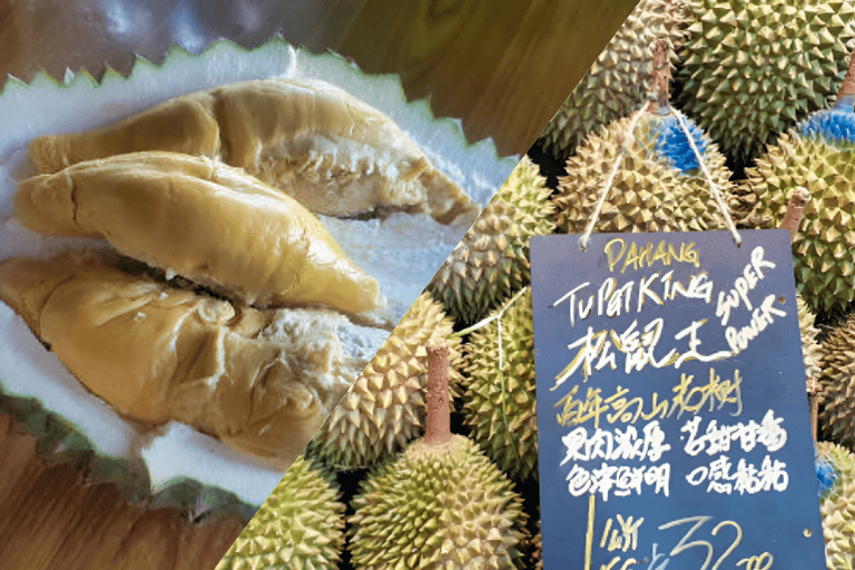 durian d214 tupai king