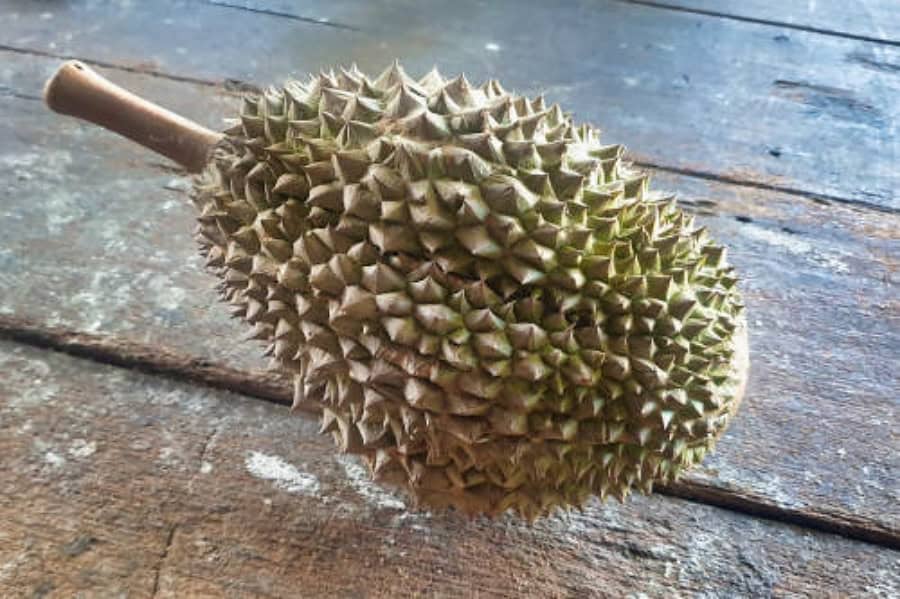 durian paling mahal