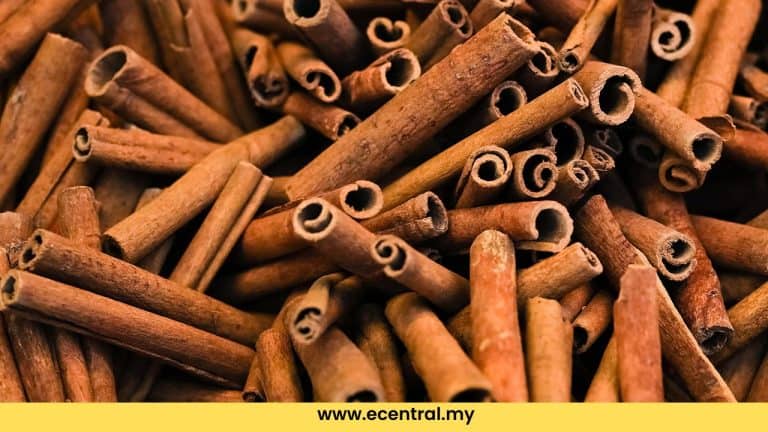 kulit kayu manis