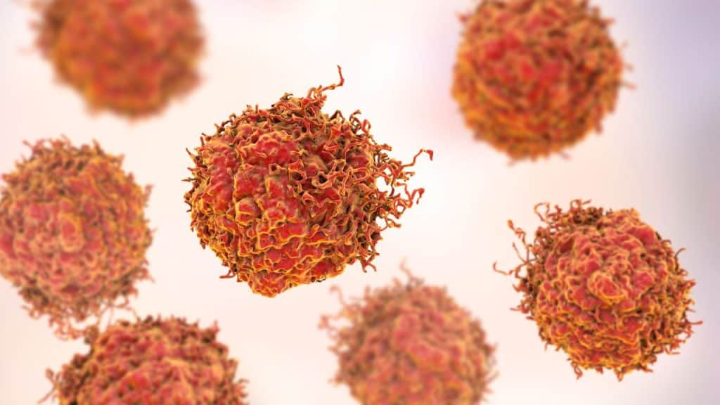 tanda hpv pada wanita